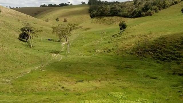 Fazenda para venda em barreiros, barreiros - Foto 15