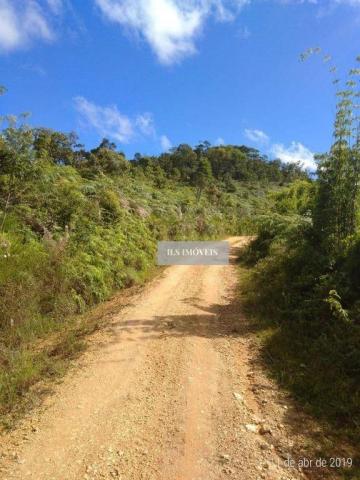 Fazenda - Foto 8