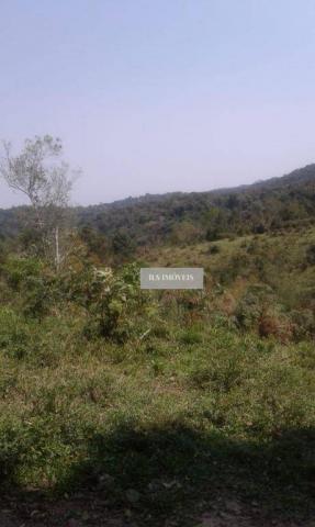 Fazenda - Foto 7