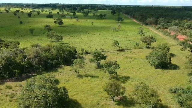 Fazenda em Livramento há 44 km Cuiabá com piscina, muito pasto, represas e lago - Foto 8