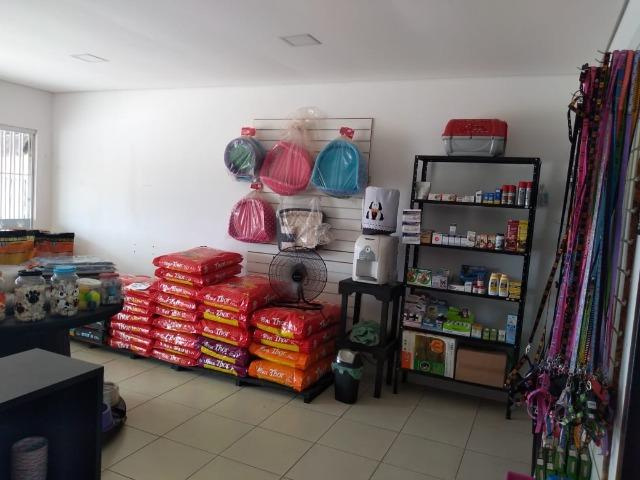 Vende-se este pet shop - Foto 3