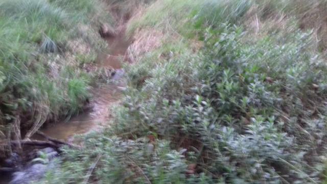Venda - Foto 4