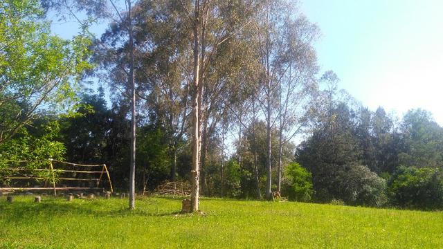 Sítio com linda casa próximo a RS 239 - Sapiranga e Araricá - Foto 15