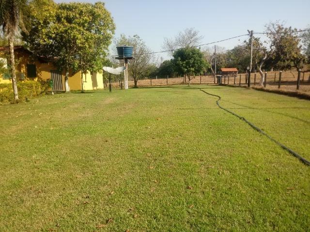 Fazenda abeira do asfalto na estrada da Guia MT 010 apos a entrada de Acorizal - Foto 18