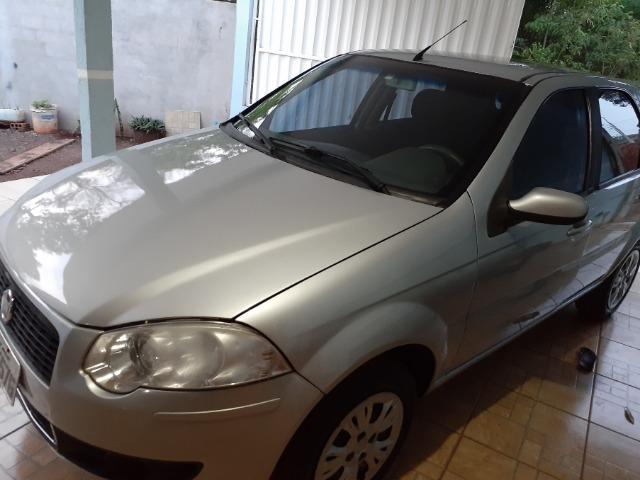 Vendo palio - Foto 10