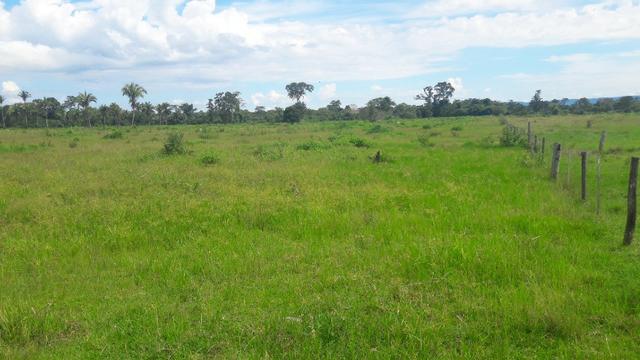 620 hectares, pecuária, próximo de Cuiabá em Livramento-MT - Foto 2