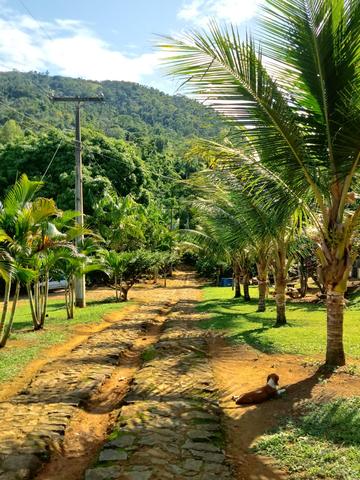 Fazenda Região de Coaraci