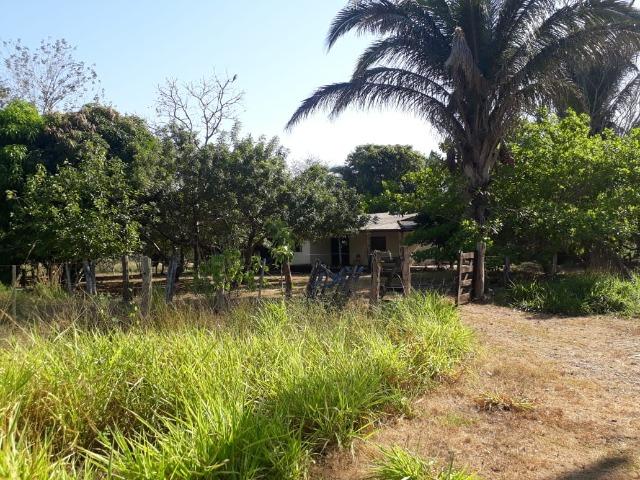 Fazenda para Pecuária com 333 hectares - Foto 14