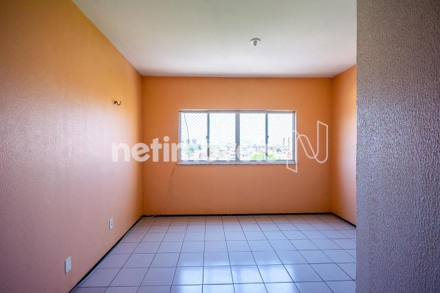 Apartamento para alugar com 3 dormitórios em Damas, Fortaleza cod:753797 - Foto 2