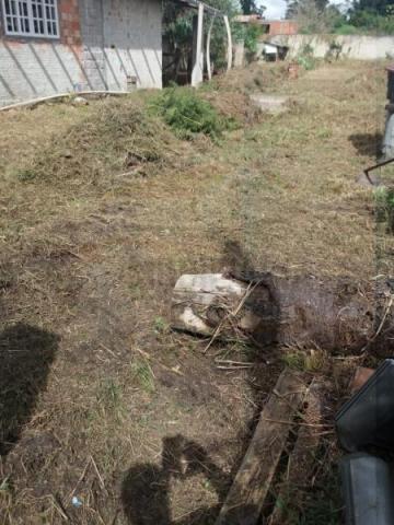 Terreno para venda em quatro barras, jardim das acácias, 2 dormitórios, 1 banheiro - Foto 3