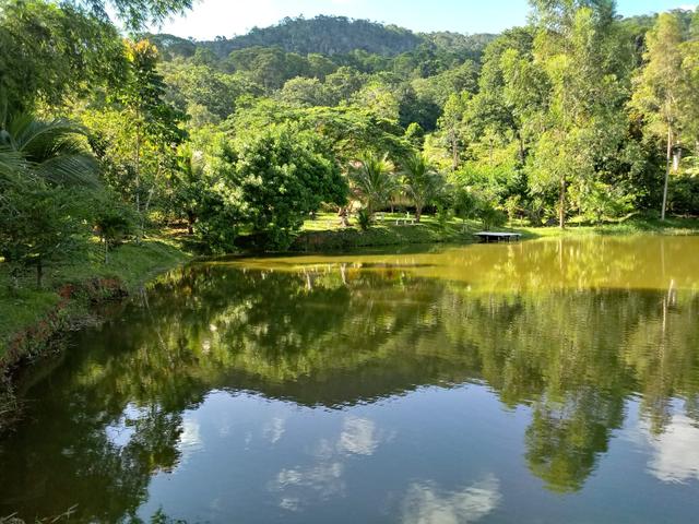 Fazenda Região de Coaraci - Foto 19