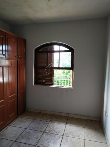 Casa para alugar com 3 dormitórios cod:CA003297 - Foto 17