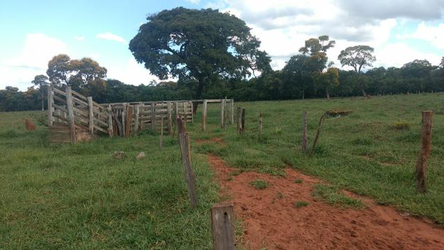 CHÁCARA JARAGUARI MS 36,4 ha - Foto 7