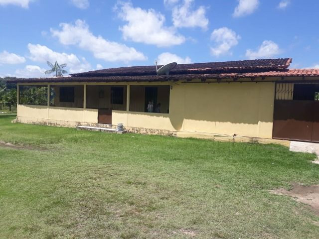 3.82 hectares a 12 km de Castanhal por 220 mil reais Documentada - Foto 3