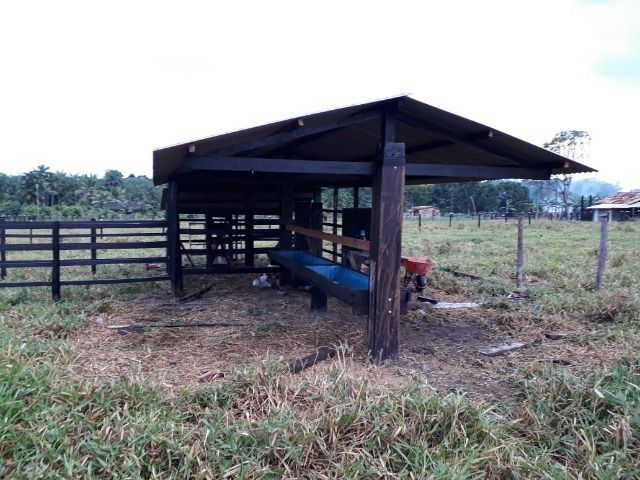 3.82 hectares a 12 km de Castanhal por 220 mil reais Documentada - Foto 4