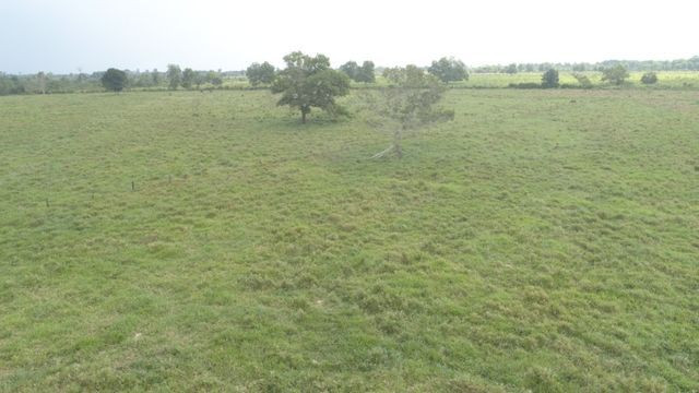 3.82 hectares a 12 km de Castanhal por 220 mil reais Documentada - Foto 12
