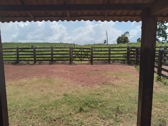 500 alqueres com 270 alqueires abertos dupla aptidão no Pará - Foto 5