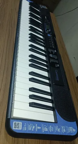 Teclado Musical Casio Casiotone Ct-s300 C/ Suporte Partitura Cts300