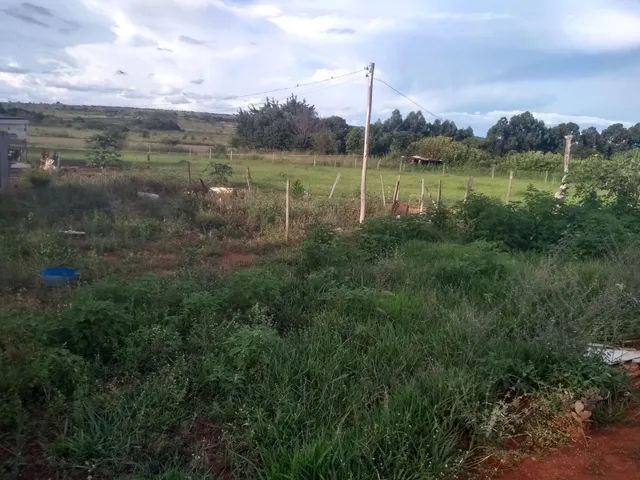 Chácara DF Planaltina Pipiripau  - Foto 5