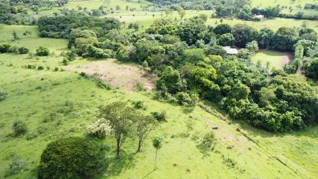 Chácara 30 Hectares com  nascente de Agua! - Foto 3