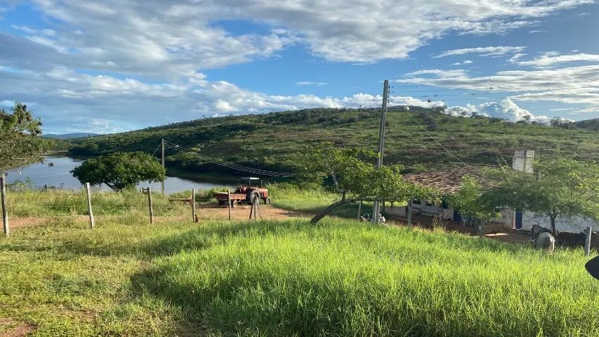 FAZENDA KM 70 BR 116 SUL - Foto 5