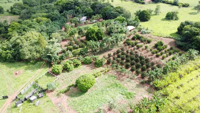 30 Hectares com nascente de Agua!