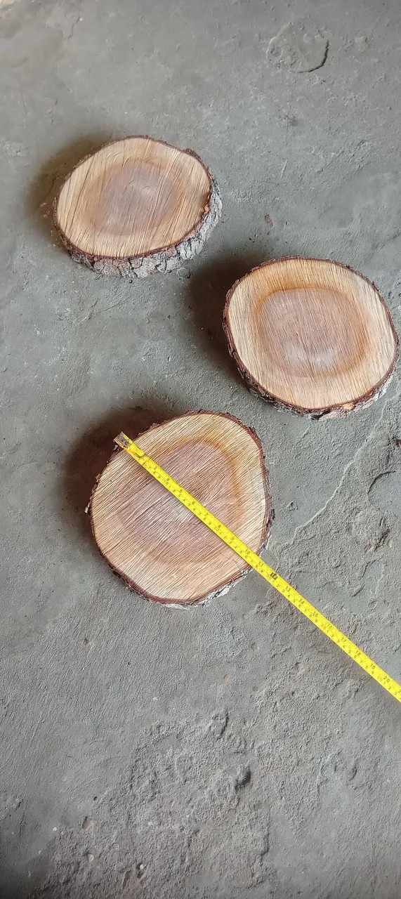 Três fatias de madeira para decoração