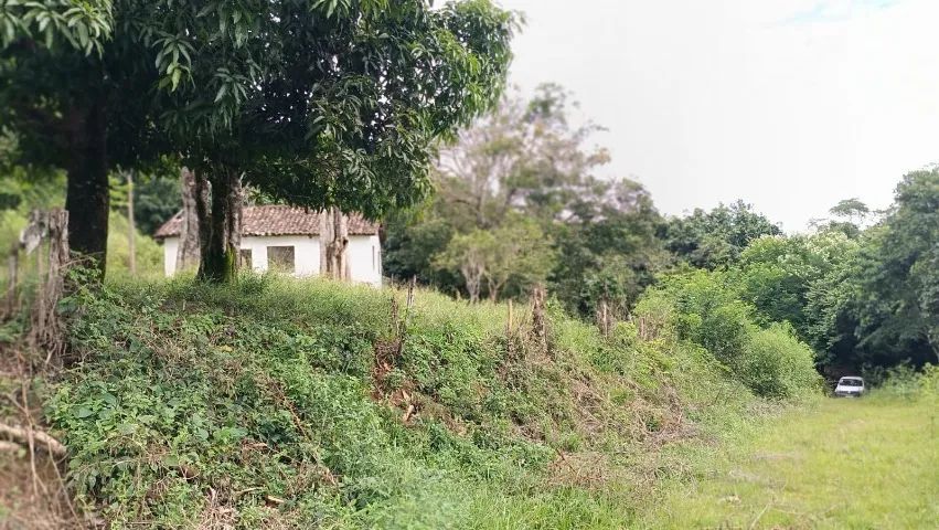 Ótimo sítio venda em São João Nepomuceno MG. 