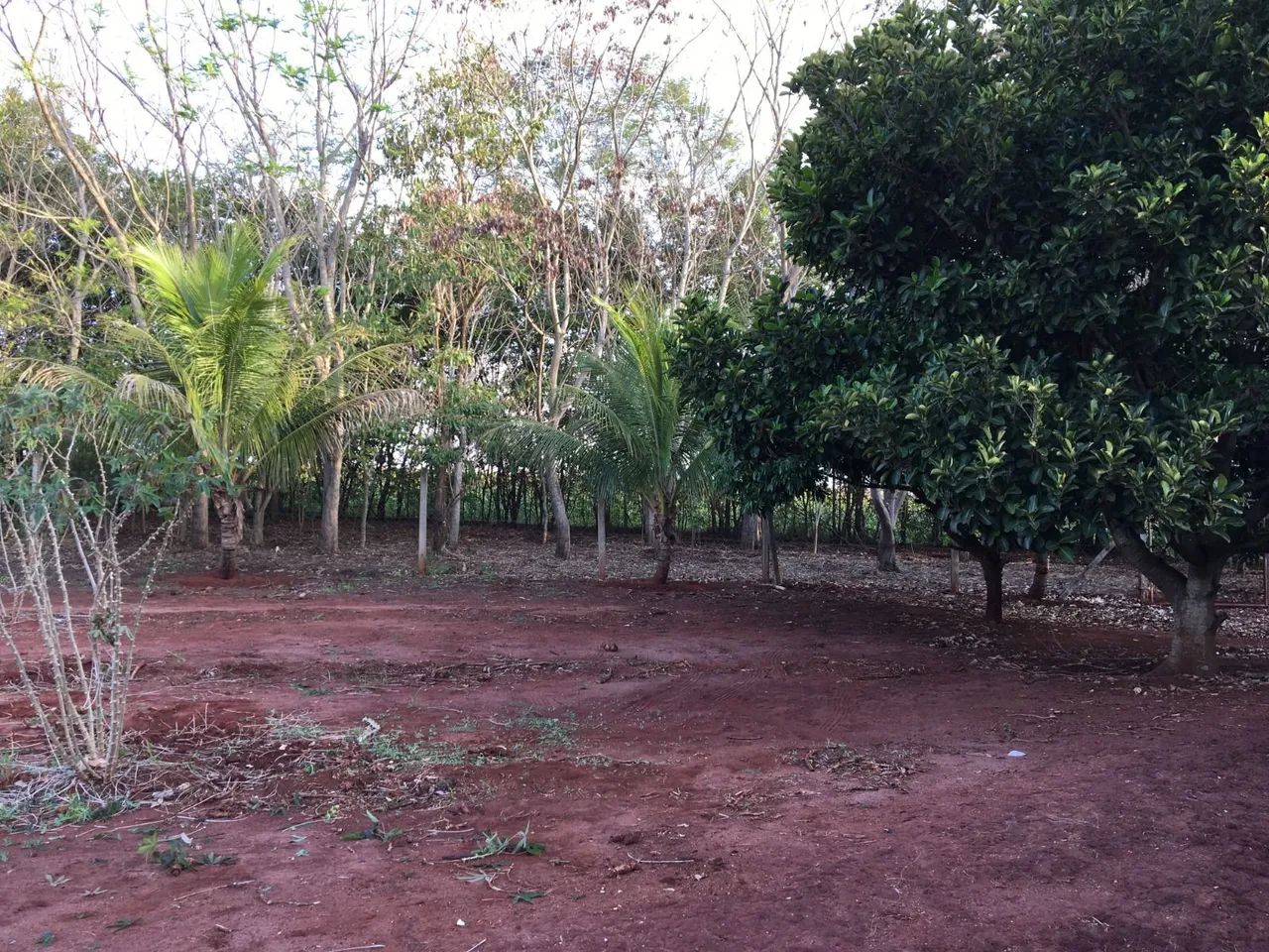 Chácara em Alvorada do Sul - Condomínio RIVIERA do NASCENTE <br> - Foto 5