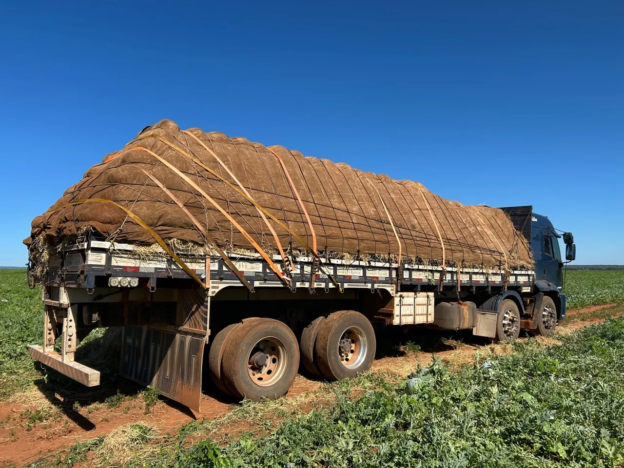 Ford cargo