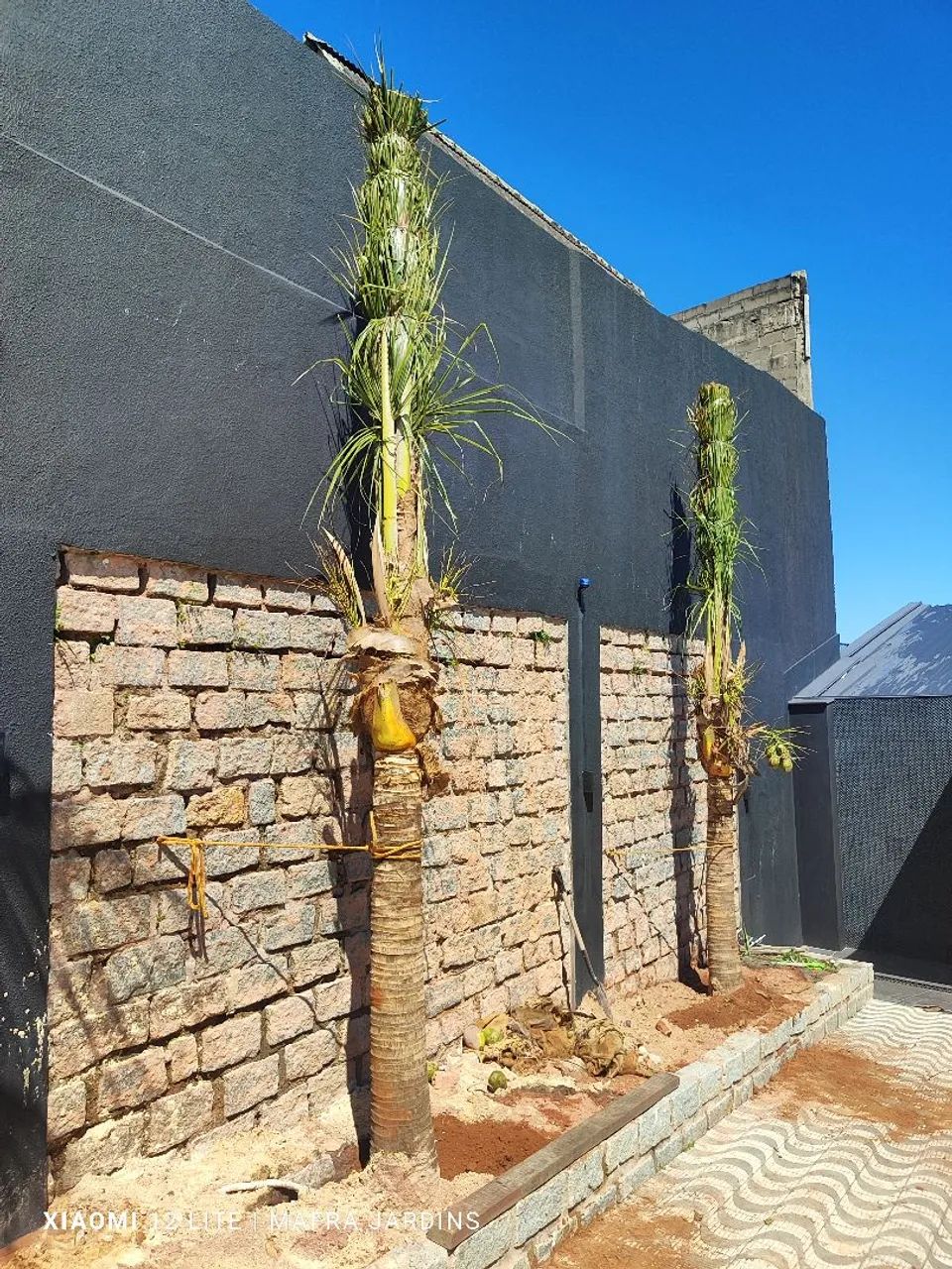 Jardinagem e paisagismo 