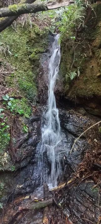 Sítio Com Rio Aiuruoca e Cachoeira !  - Foto 2