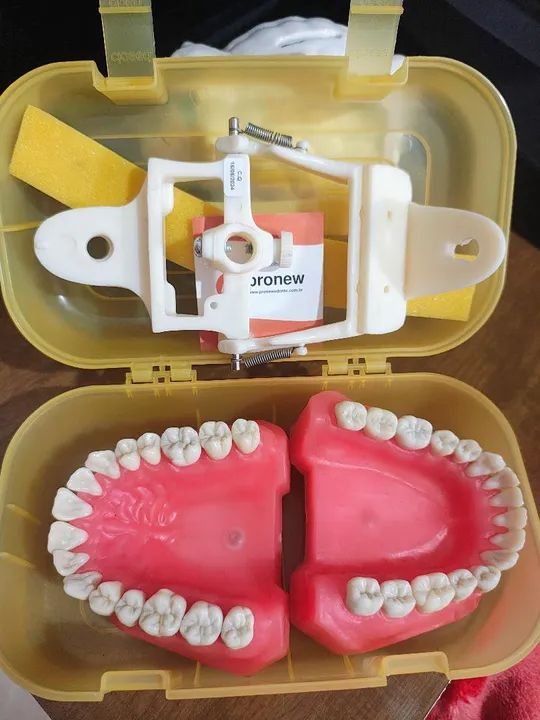 modelo articulado dentista pronew - Foto 3