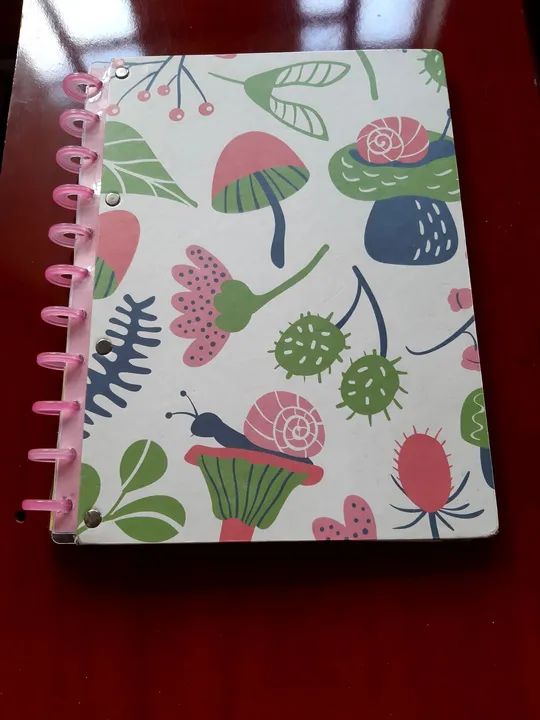 Caderno inteligente grande marca Adox usado