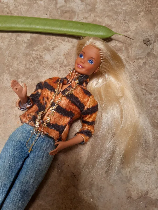 Promoção Rara da Estrela boneca Barbie