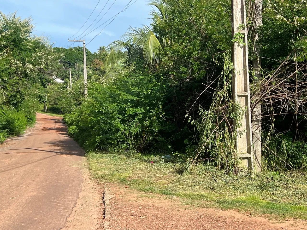LINDO SÍTIO NO TIMBUBA - Foto 6