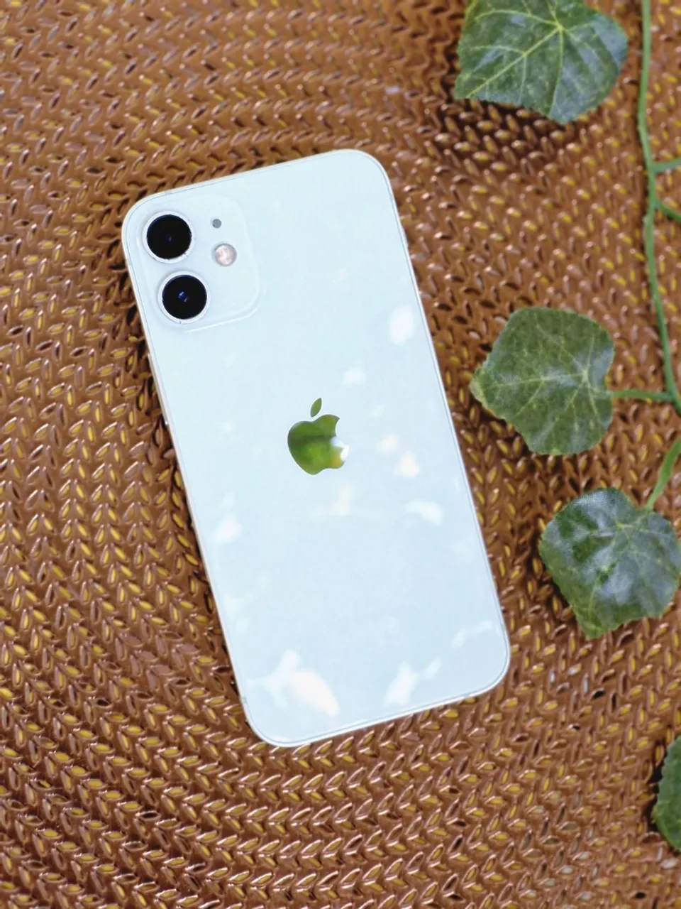 iPhone 12 mini 