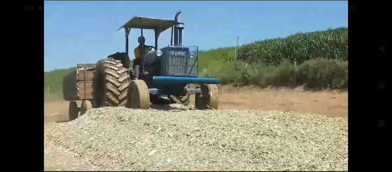 Ótima Estrutura Numa Área 5 hectares.100% Aproveitável..Aceita veículo/imóvel.. - Foto 9