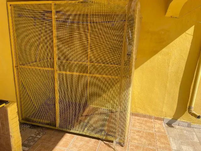 Viveiro Grande  - Foto 3