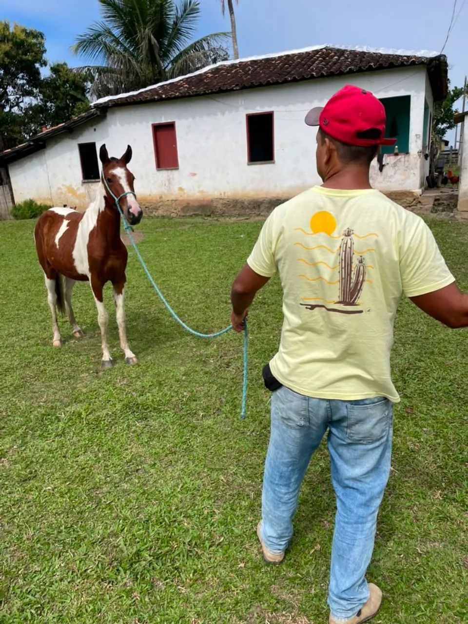 potra a venda  valor 3.500  - Foto 3