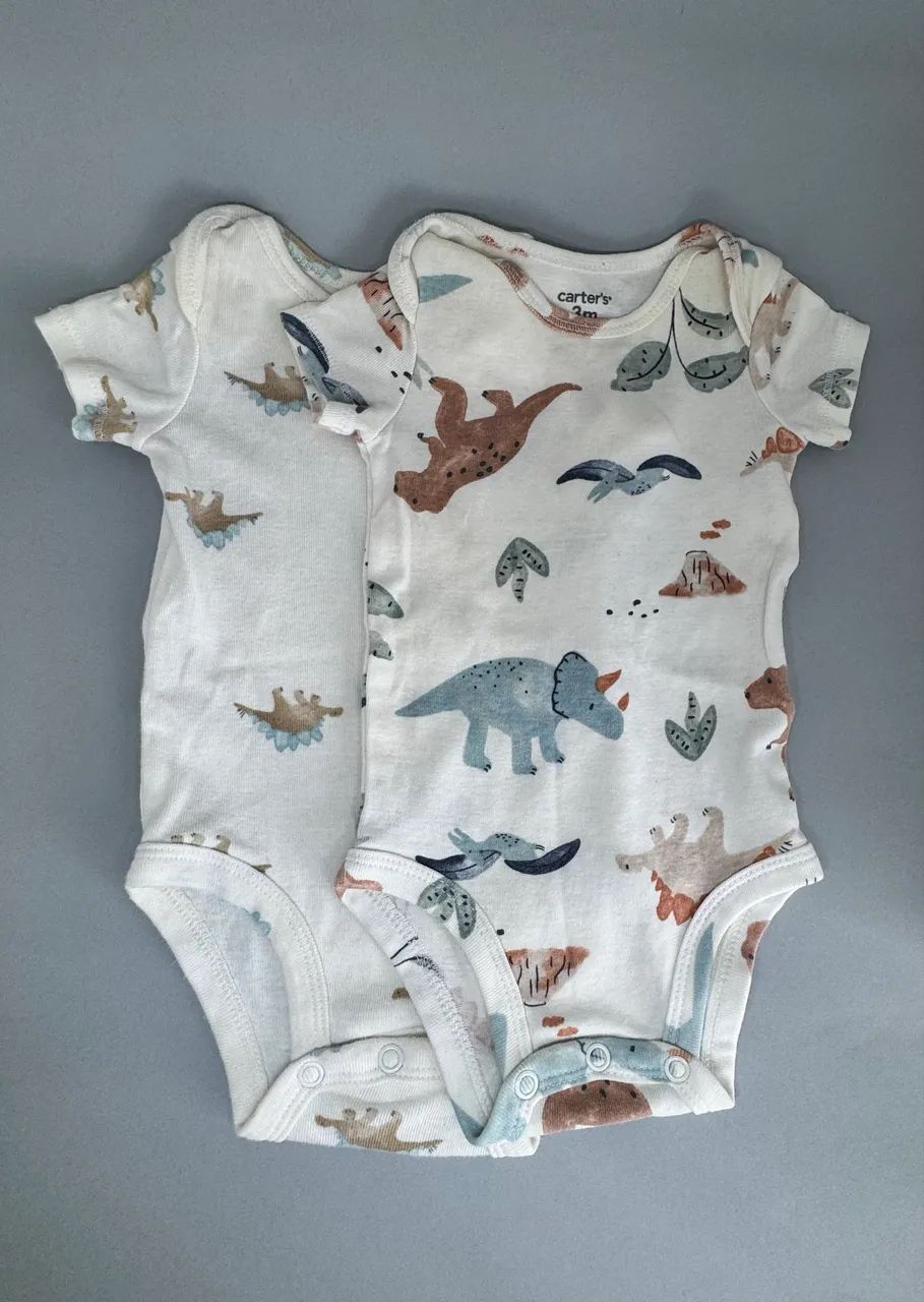 Roupas Carters 