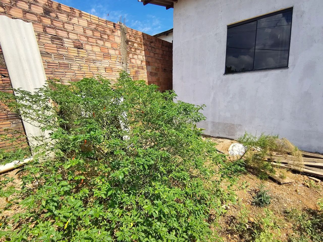Vendo casa Nova Floresta 150 mil - Foto 2