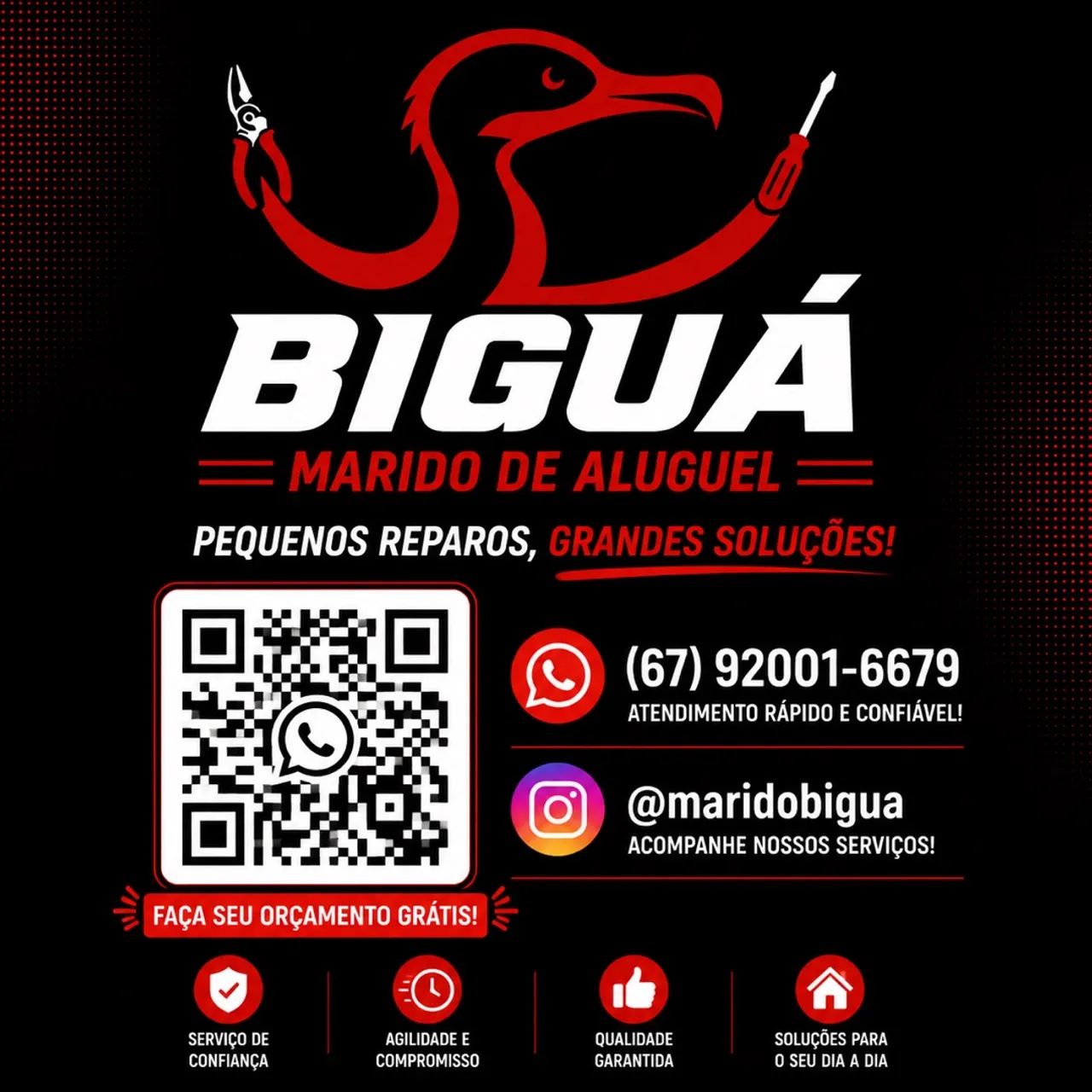 Marido de aluguel - Biguá 