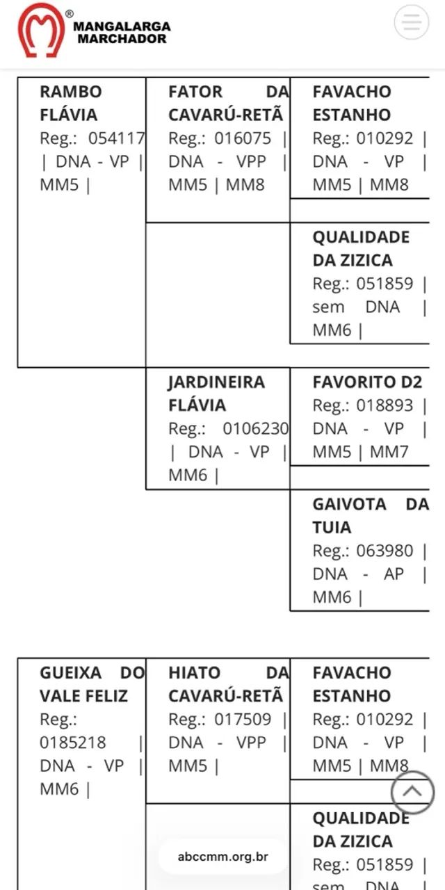 Potro MM  - Foto 2