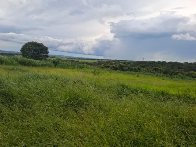 Sitio Município de Nova Ponte Mg - Foto 5