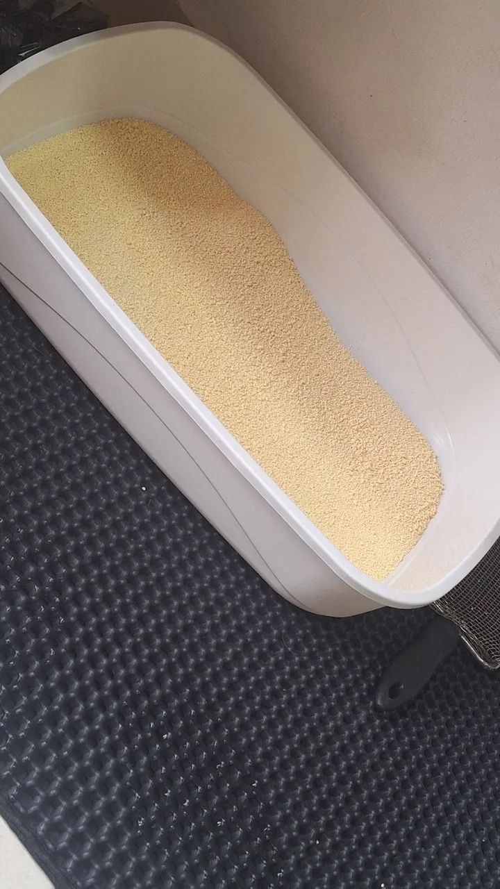 Caixa de areia para gatos - Foto 2