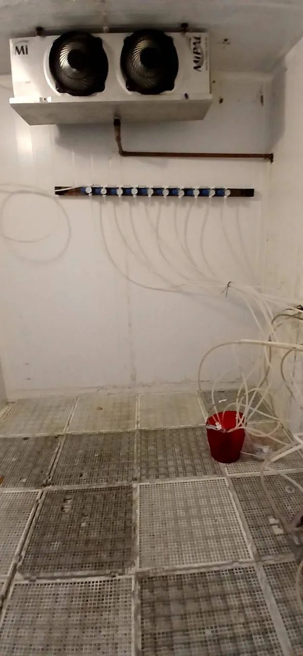 Câmara Fria Resfriamento - Foto 3