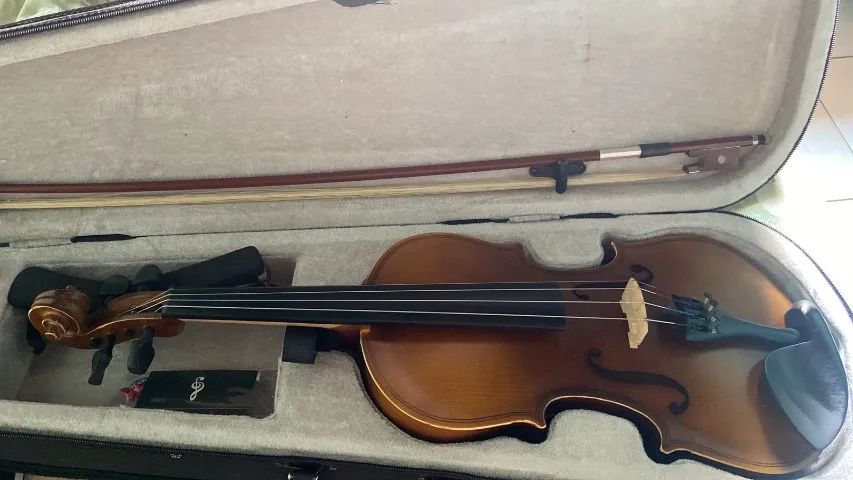 Violino