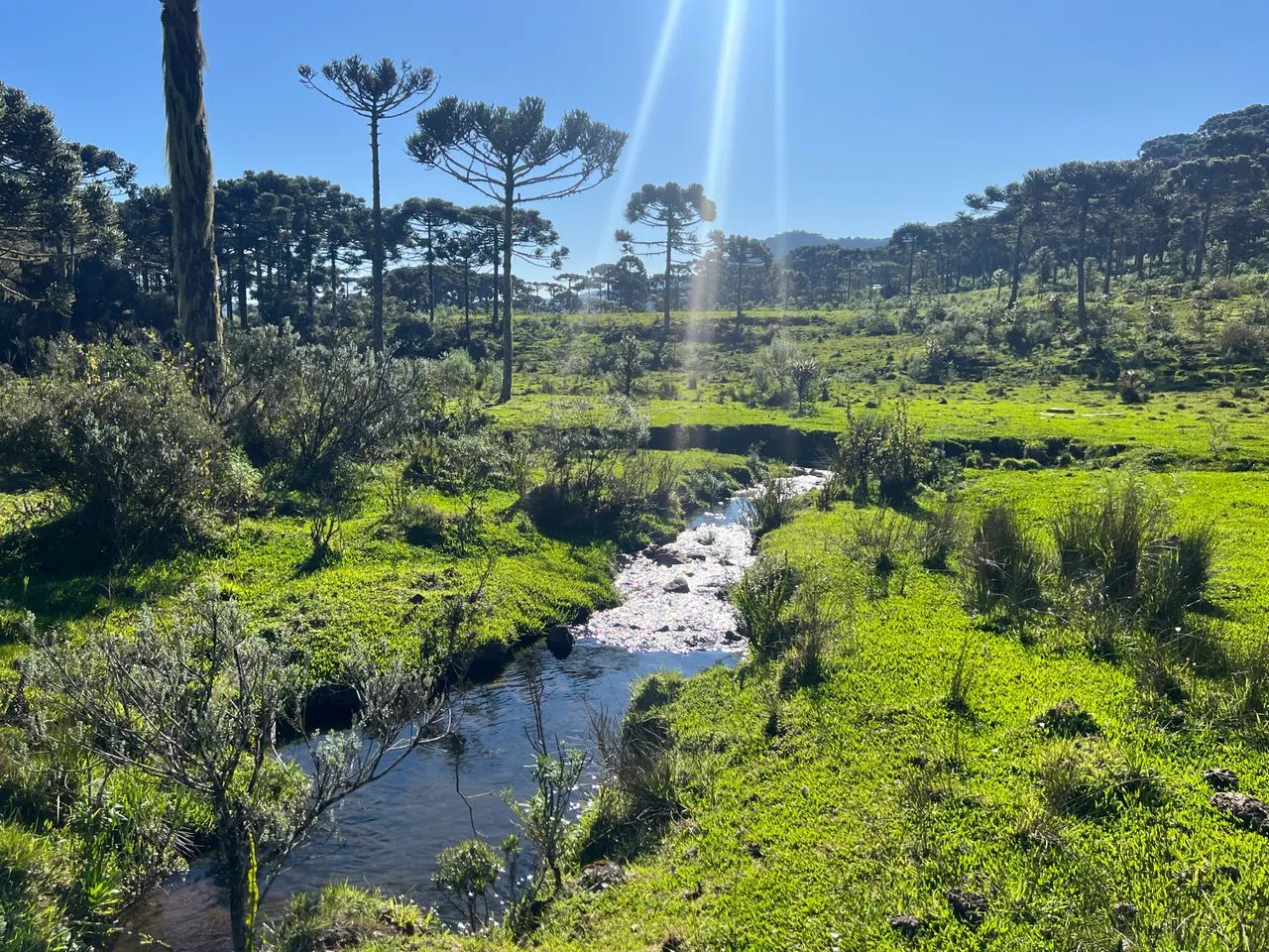 Terreno com 86 hectares em Urubici.