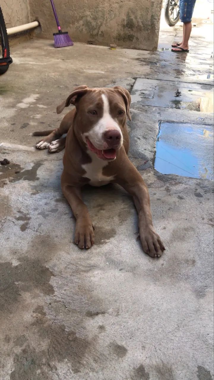 Doação  - Foto 2